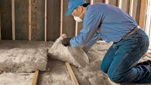 Trusted Hanover, IN Insulation Removal & Installation Experts