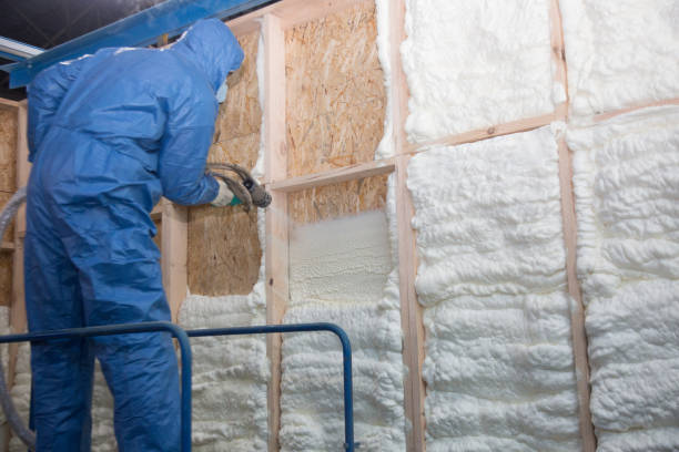 Best Batt and Roll Insulation in Hanover, IN